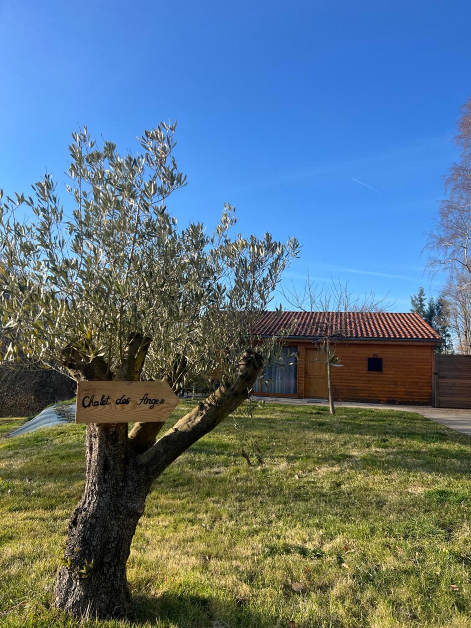 Chalet Des Anges Youx Luaran gambar